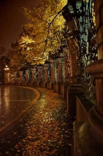 Доброй ночи, Питер! Пусть город укрывается туманом, как уютным пледом🌙✨