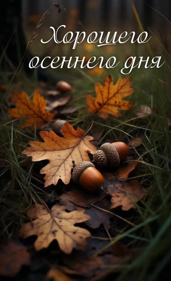 Солнце ☀️ ♥️