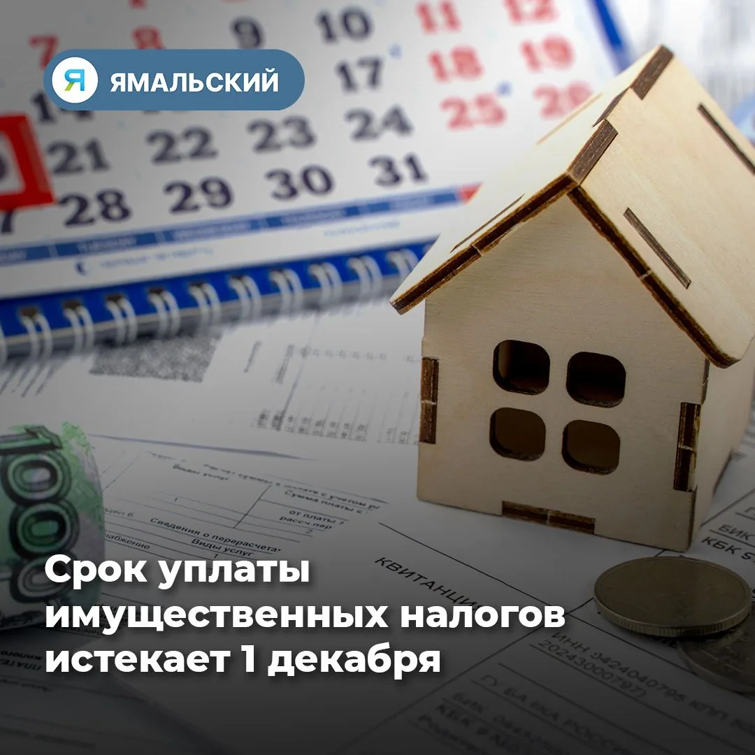 Ямальцам напоминают об уплате имущественных налогов📌