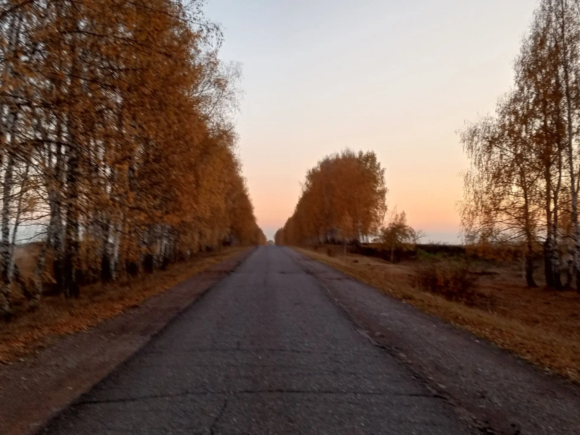 В Башкортостан пришло второе бабье лето