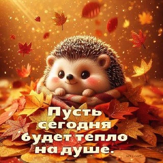 #пожелание