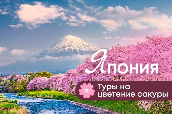 🌸 Туры в Японию на цветение сакуры