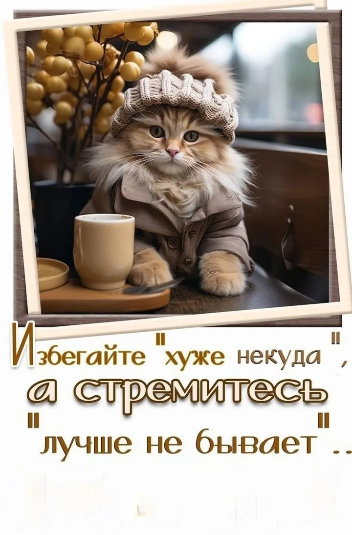 @pozdraf