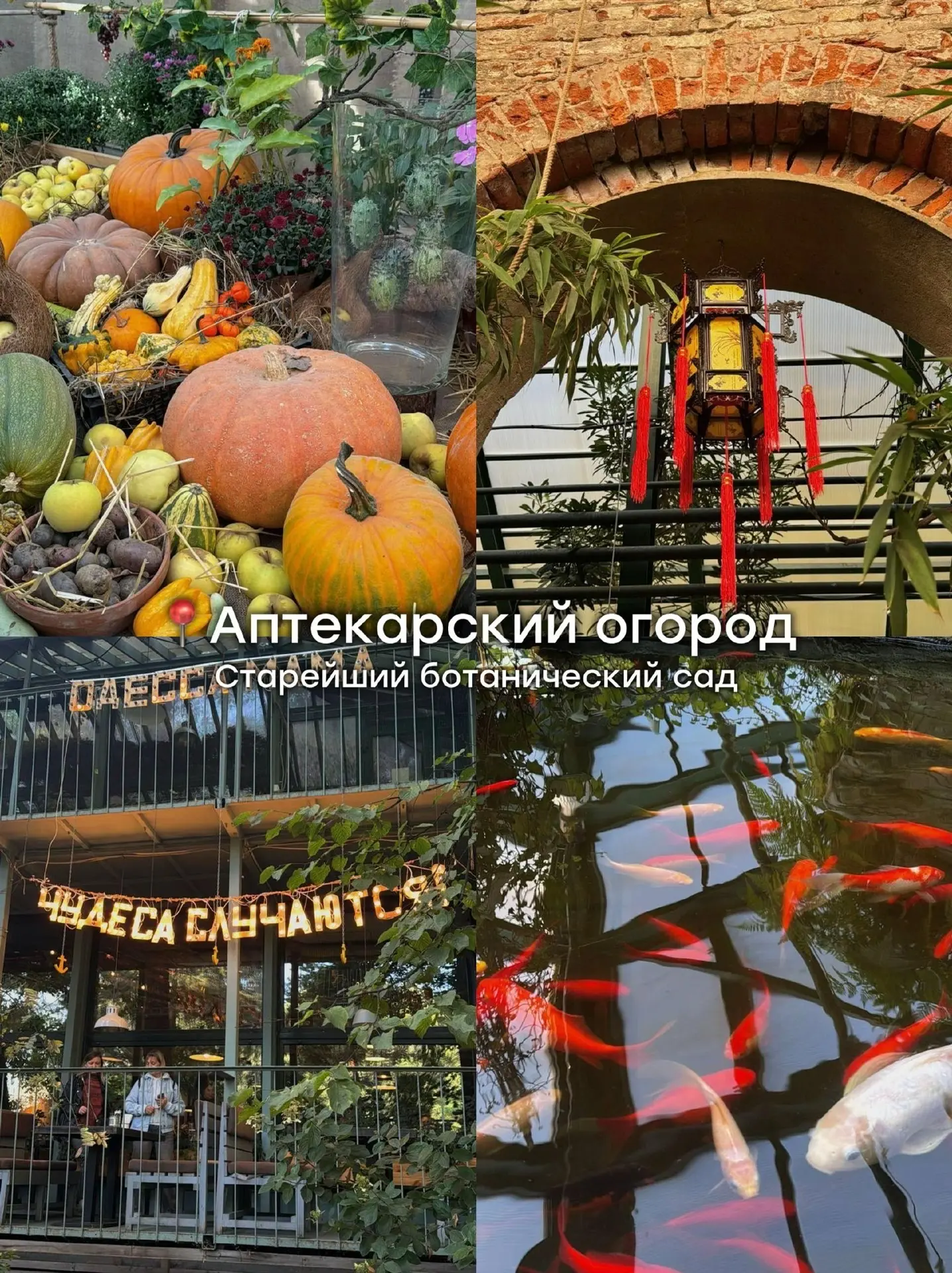 🍁 КУДА СХОДИТЬ В МОСКВЕ ЭТОЙ ОСЕНЬЮ?