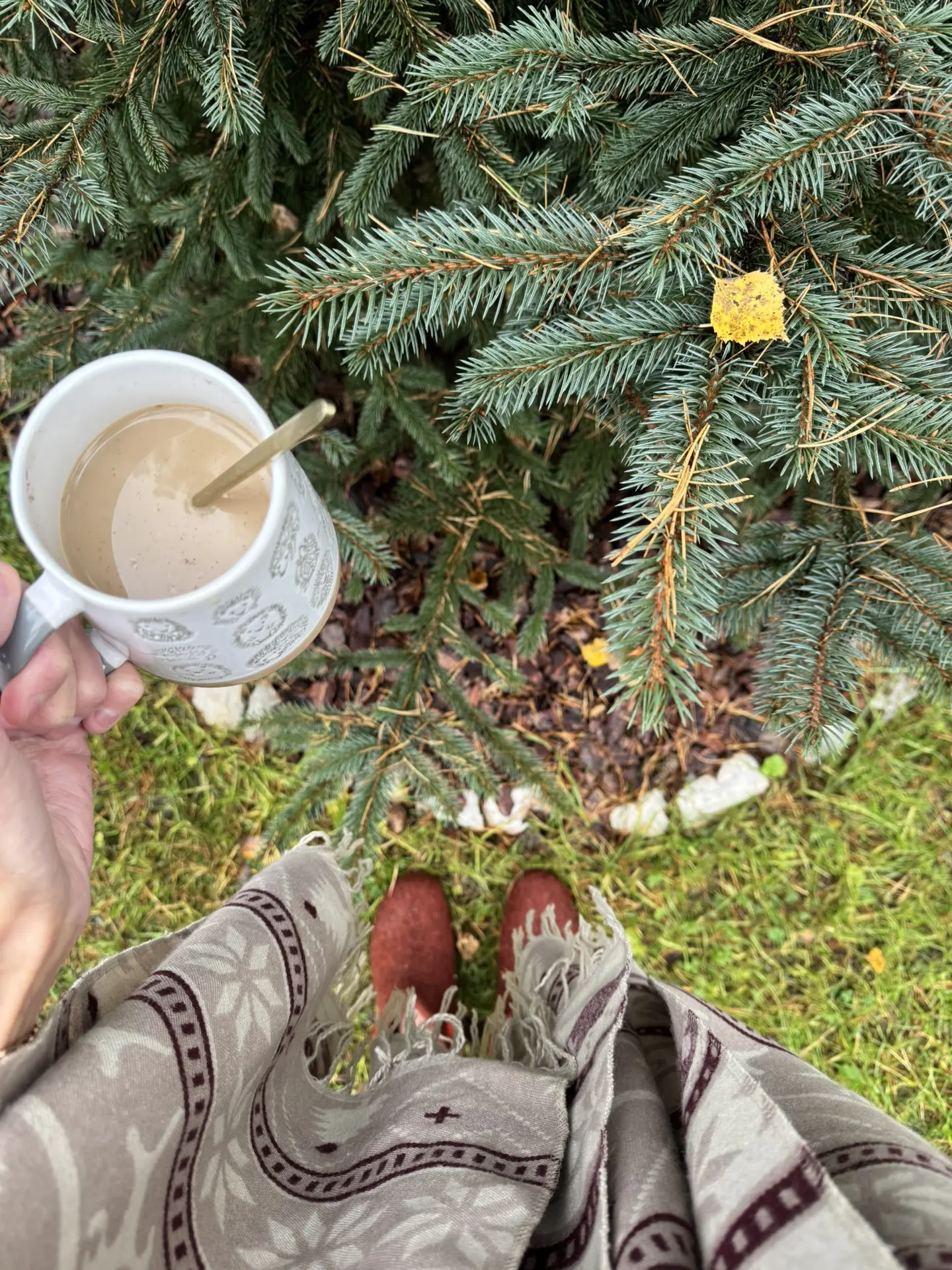 Моя лесная сказка 🌲