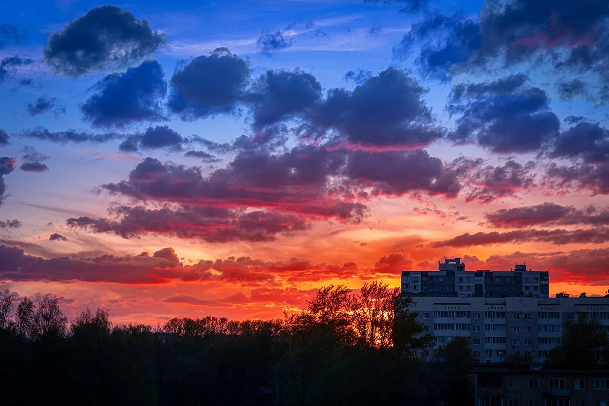 🌇