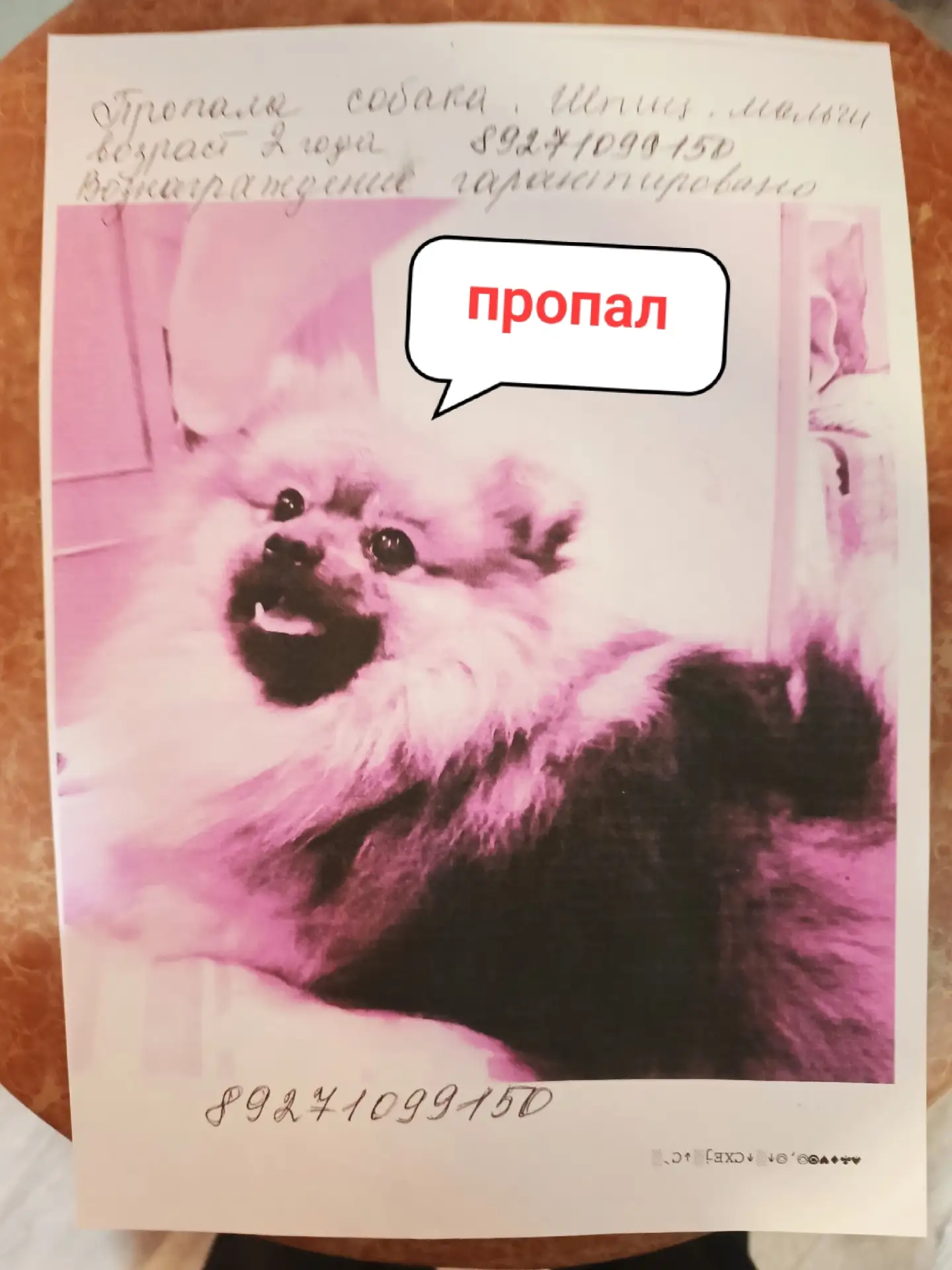Ищу