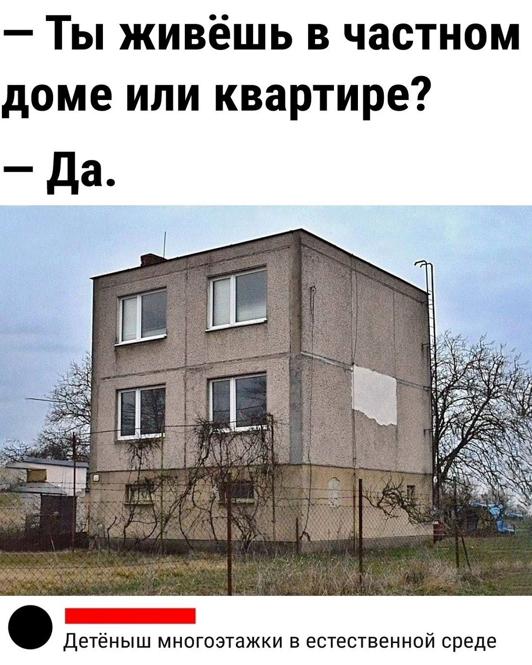 Пробник))