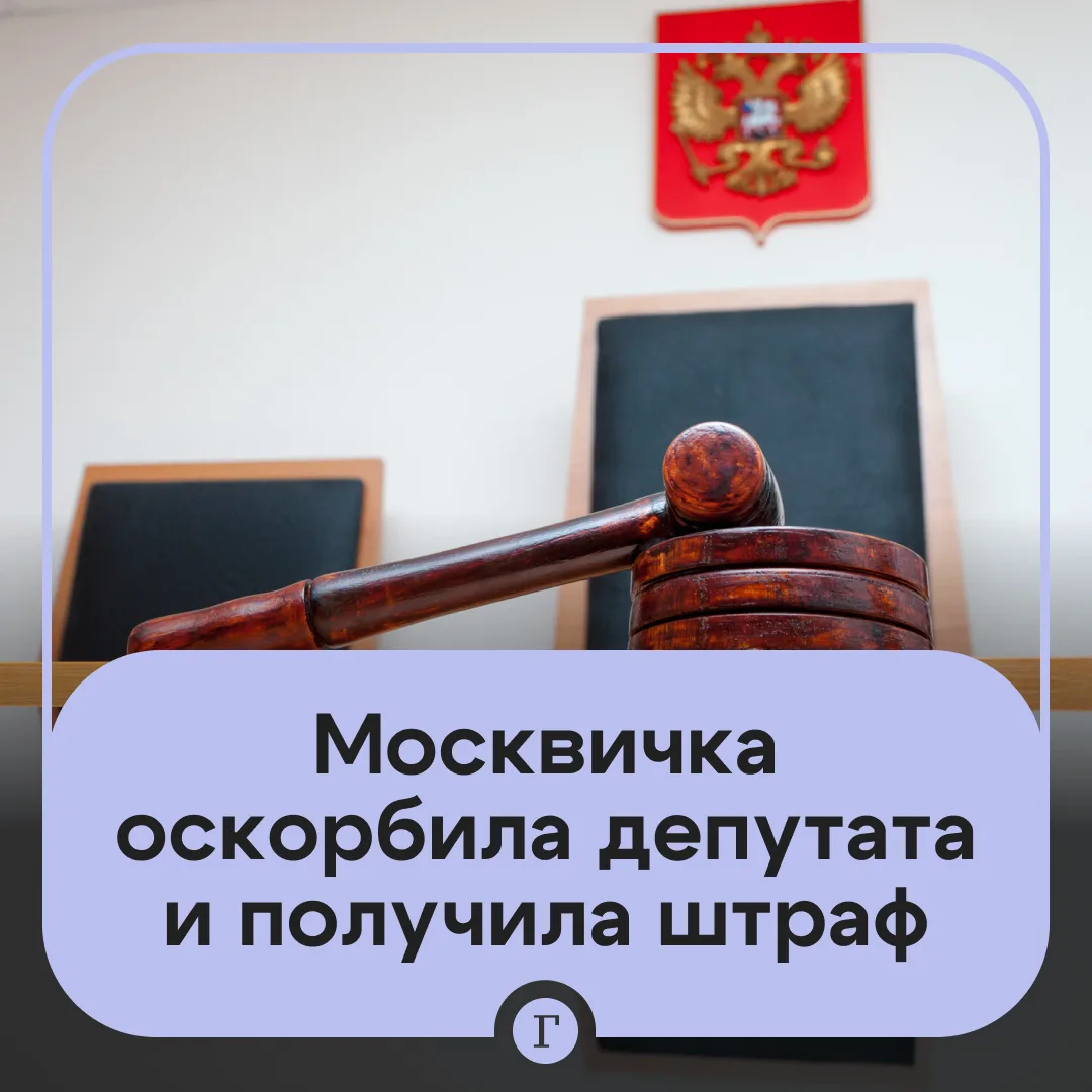 Россиянка получила штраф за оскорбление депутата из-за установки шлагбаума.