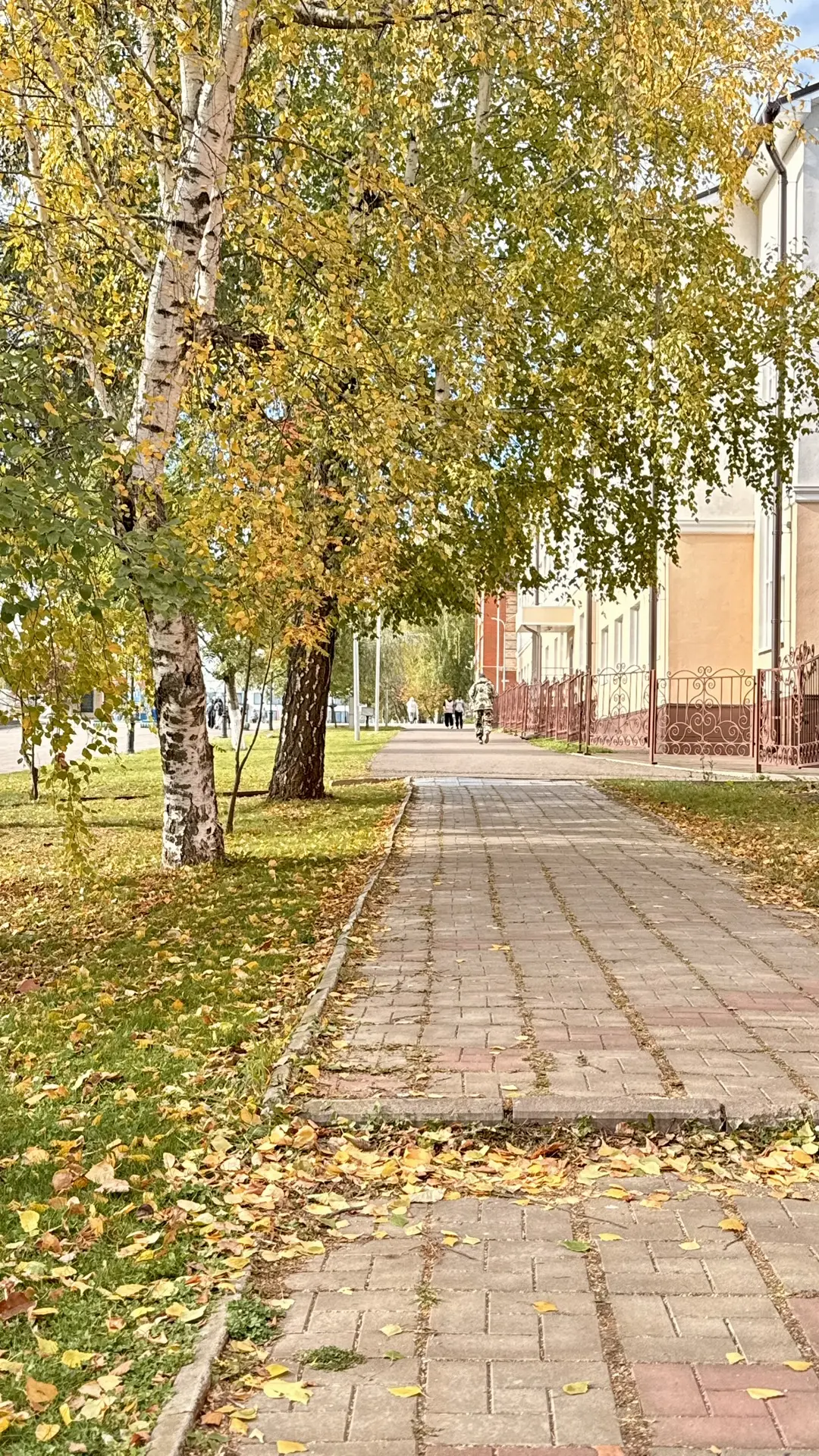 Ваши осенние ритуалы 🍂