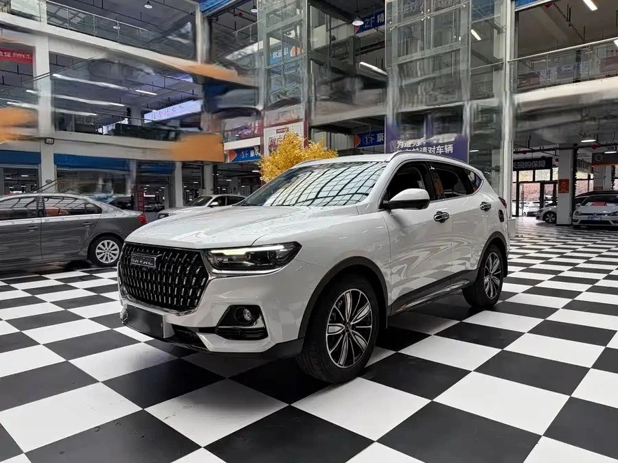 📊 Haval H6 2023 1.5T 7DCT National Trend Champion Edition