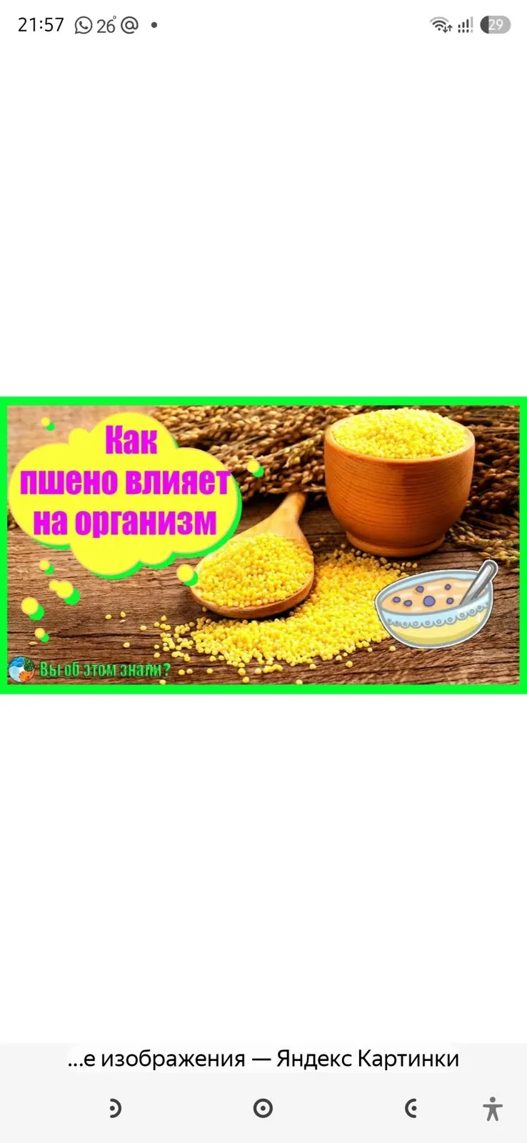 🍽️ Пшённая каша — это не только вкусно, но и полезно! Она богата витаминами и минерала...