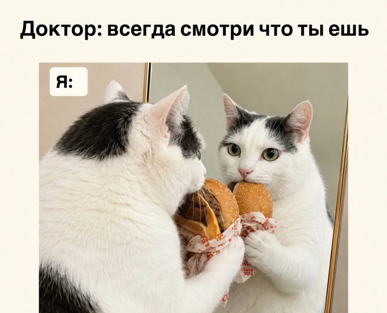 Подпишись на Кринжулю 👉🏻 в TG, в VK и в Макс