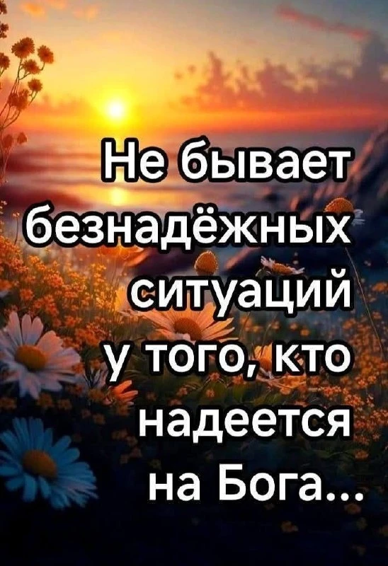 🌷 Открытки подписаться 👈