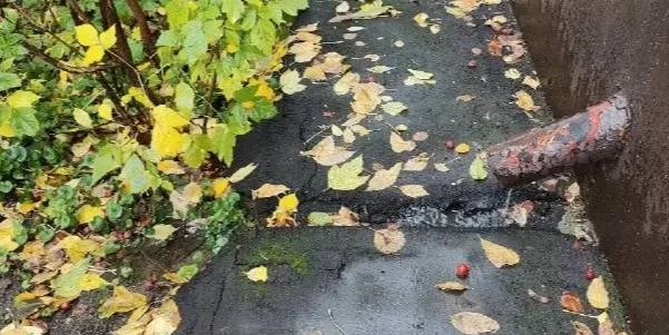 ☀️ На Вяземской убрали водостоки, вода идёт в подвал