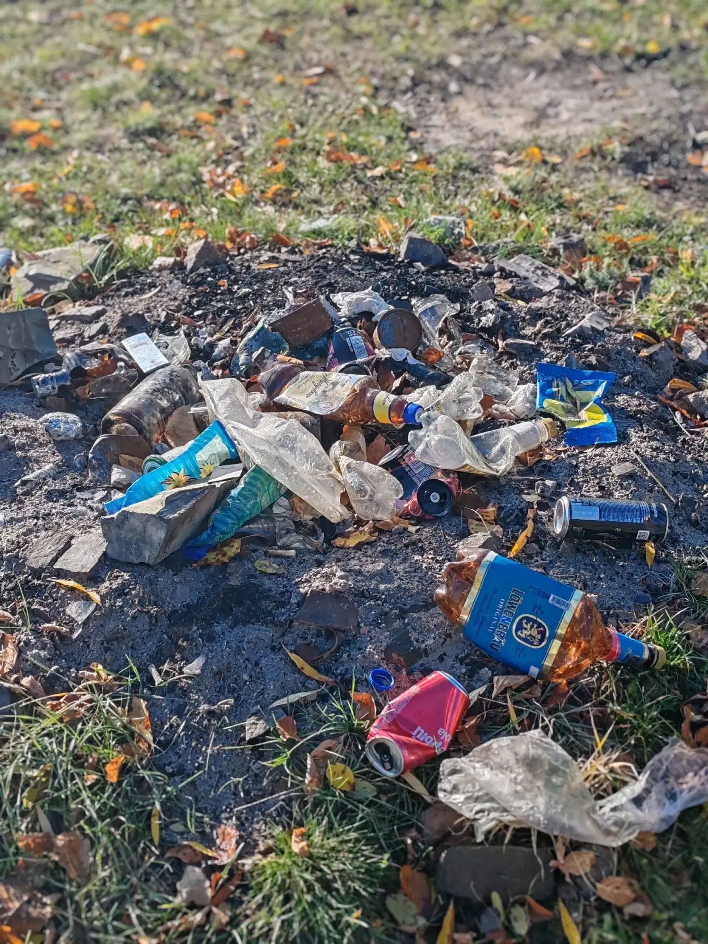В Верхнеуральское водохранилище появился лещ, появились любители фидера. На первый взгл...