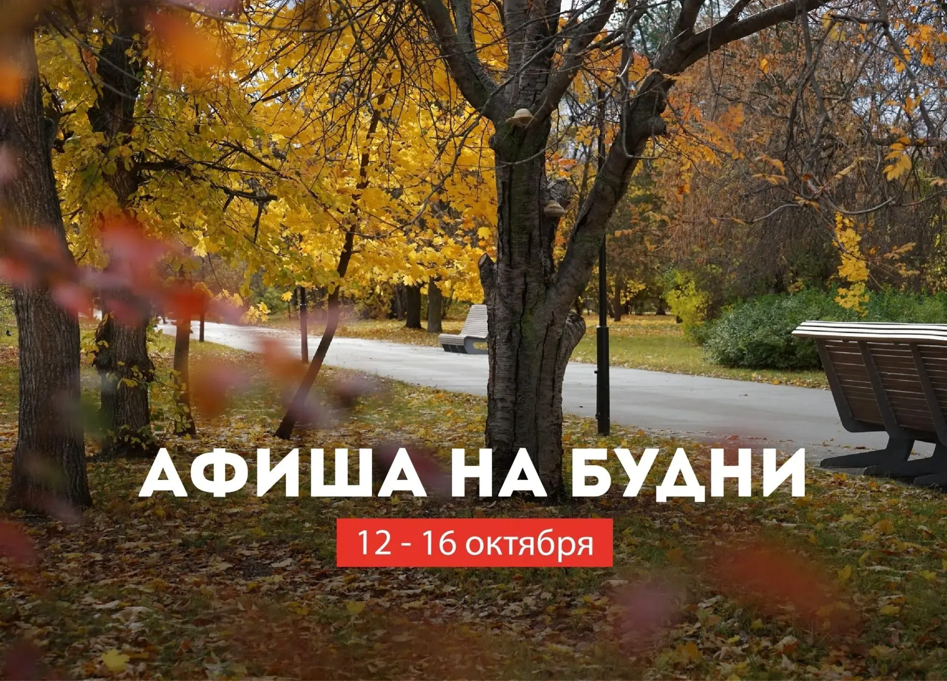 Предлагаем разнообразить будни интересной культурной программой!