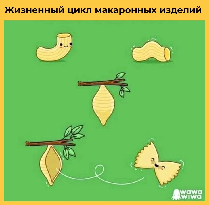 Вот это поворот …