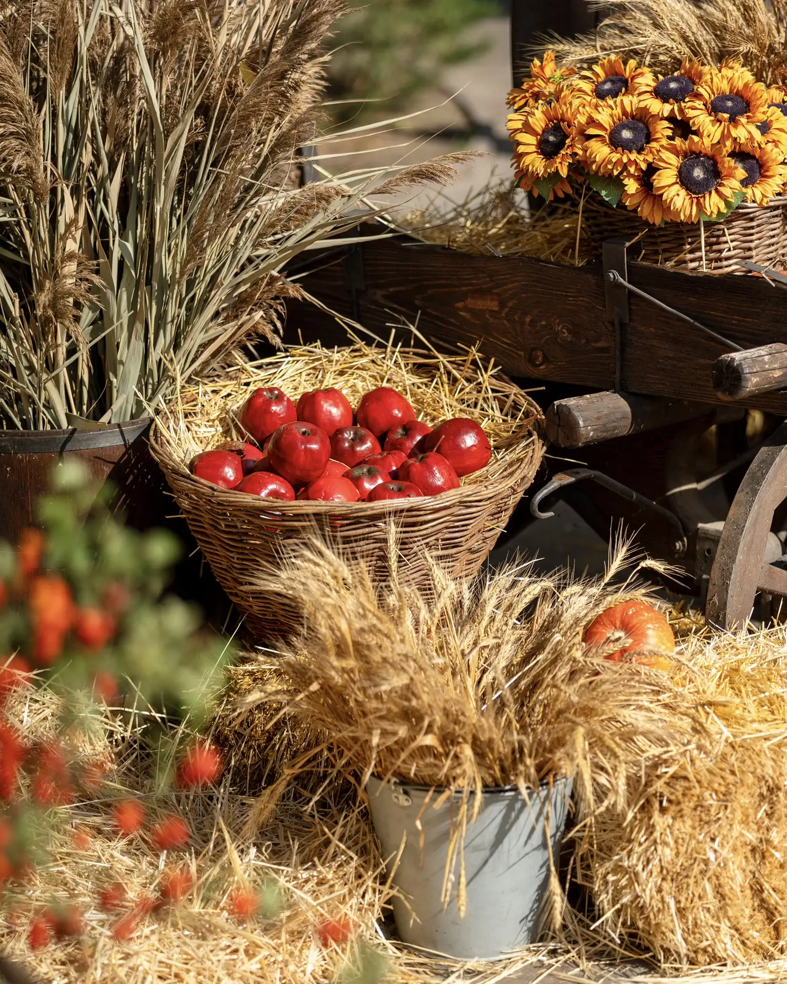 🍂 Друзья, в эти выходные в парке будет невероятно солнечная и чудесная погода!
