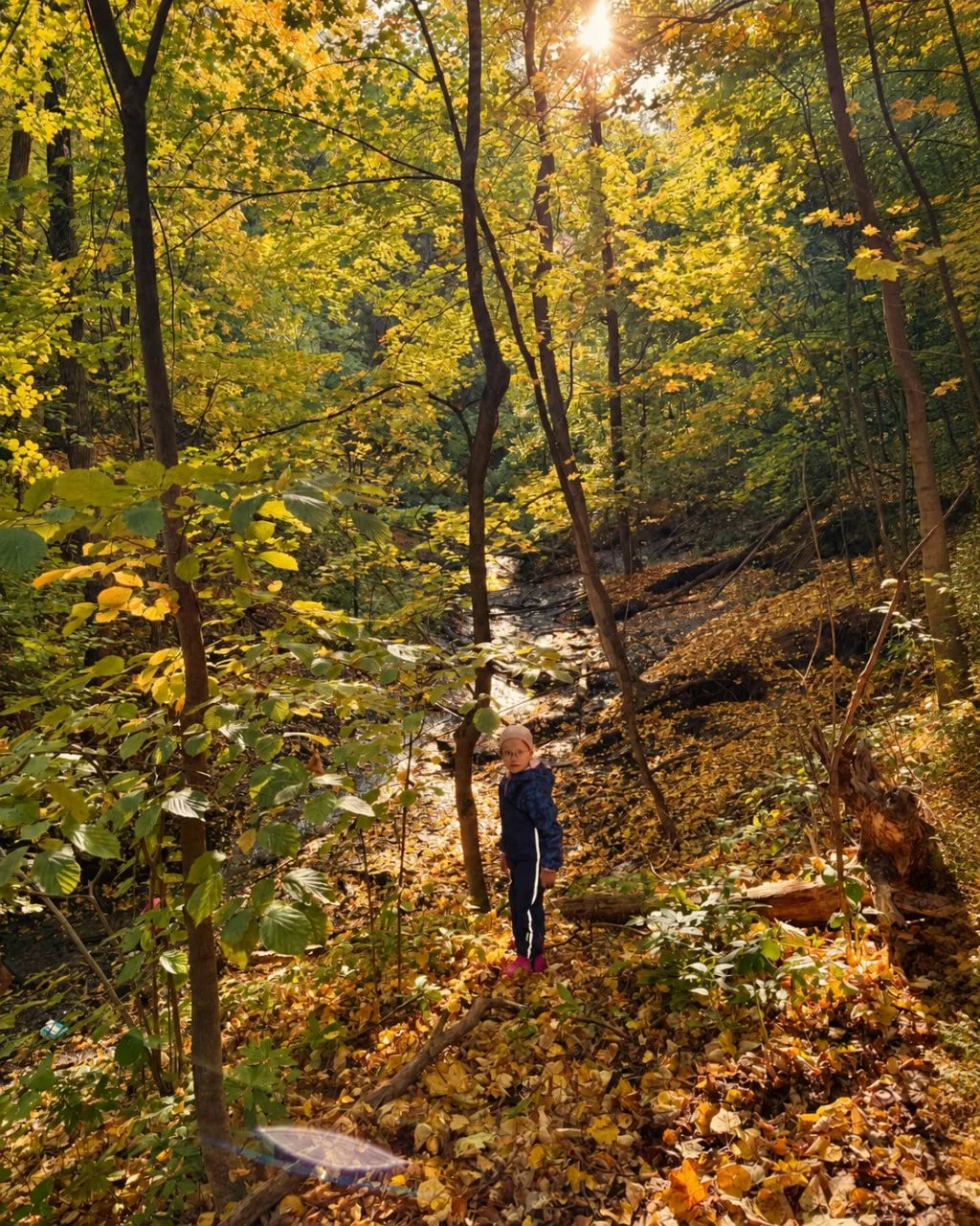 Кажется, будто это вообще два разных места 🍂🌿