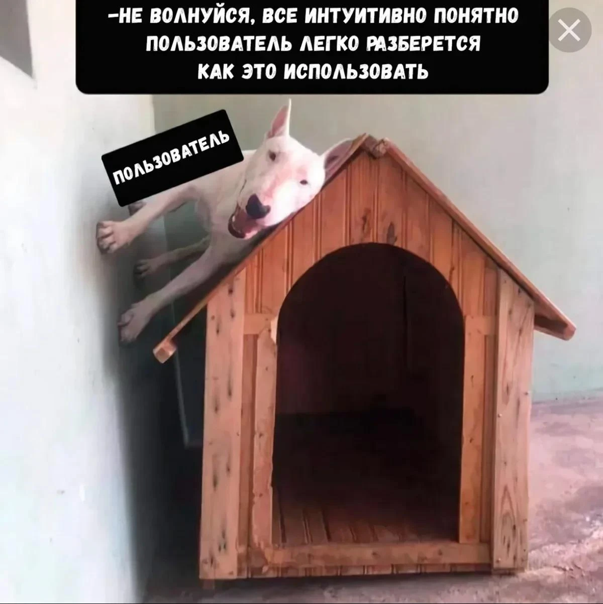 IT-хаски