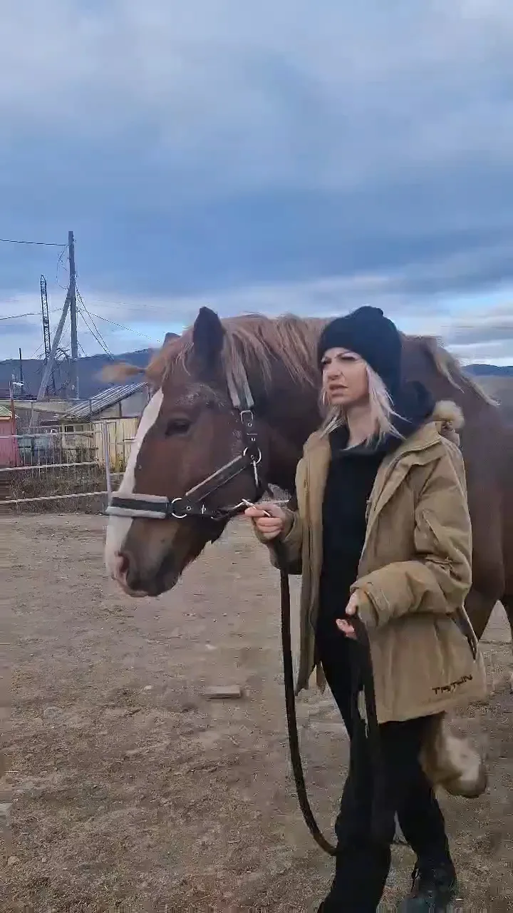 🐴 Ни дня без конного двора...