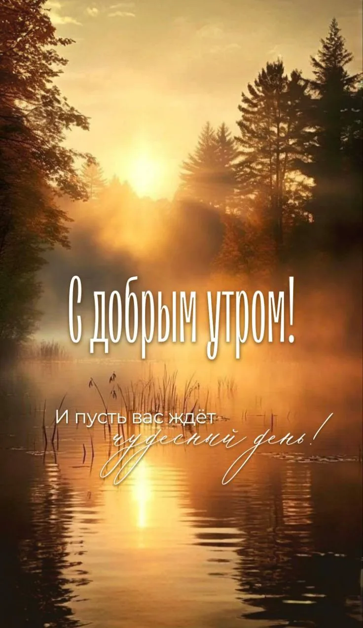 #доброеутро