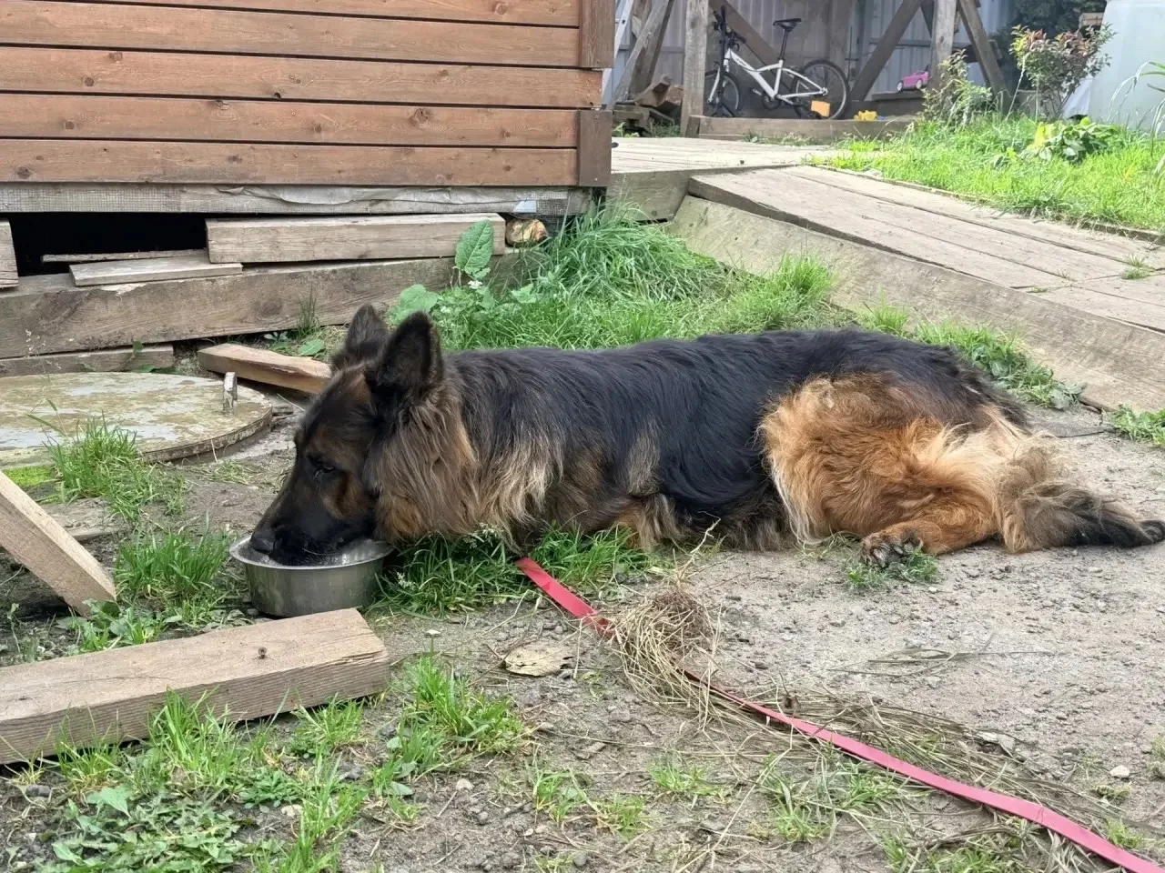 📍Чехов,Чепелево