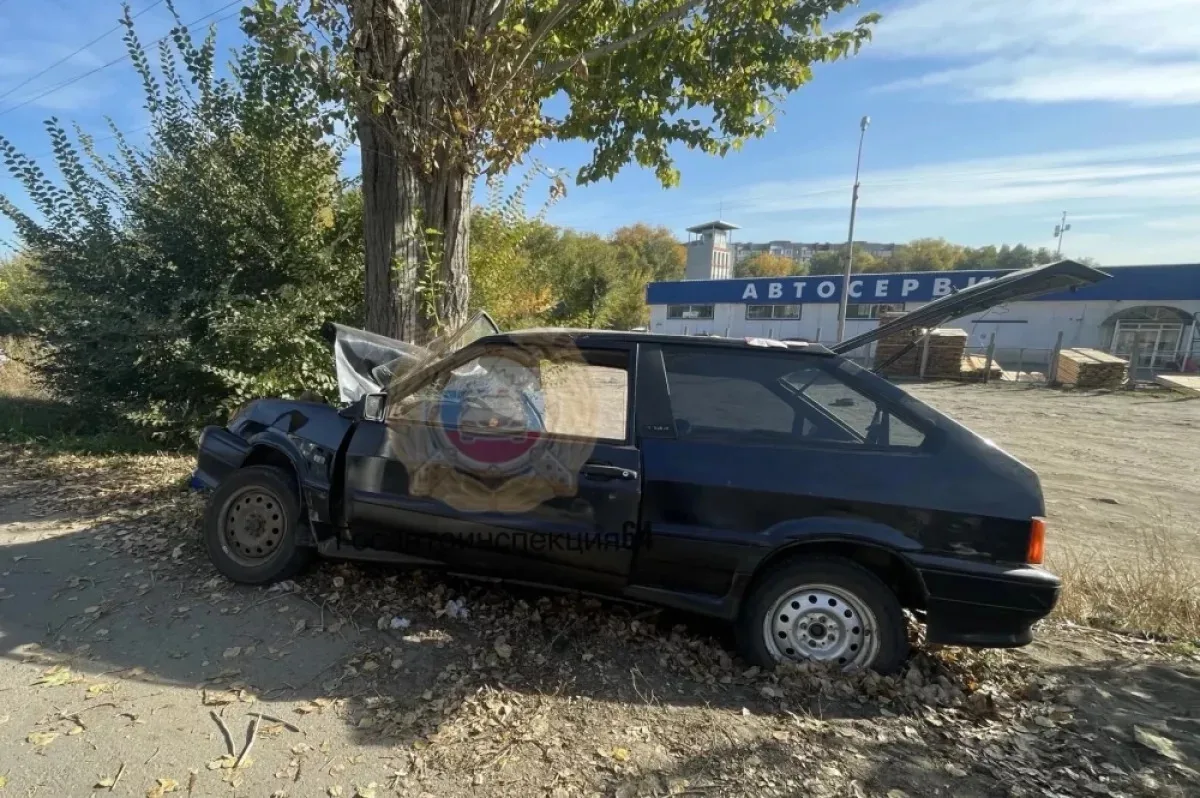 Подросток погиб в ДТП с деревом на Ново-Астраханском шоссе в Саратове