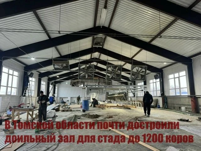 В Томской области почти достроили доильный зал для стада до 1200 коров