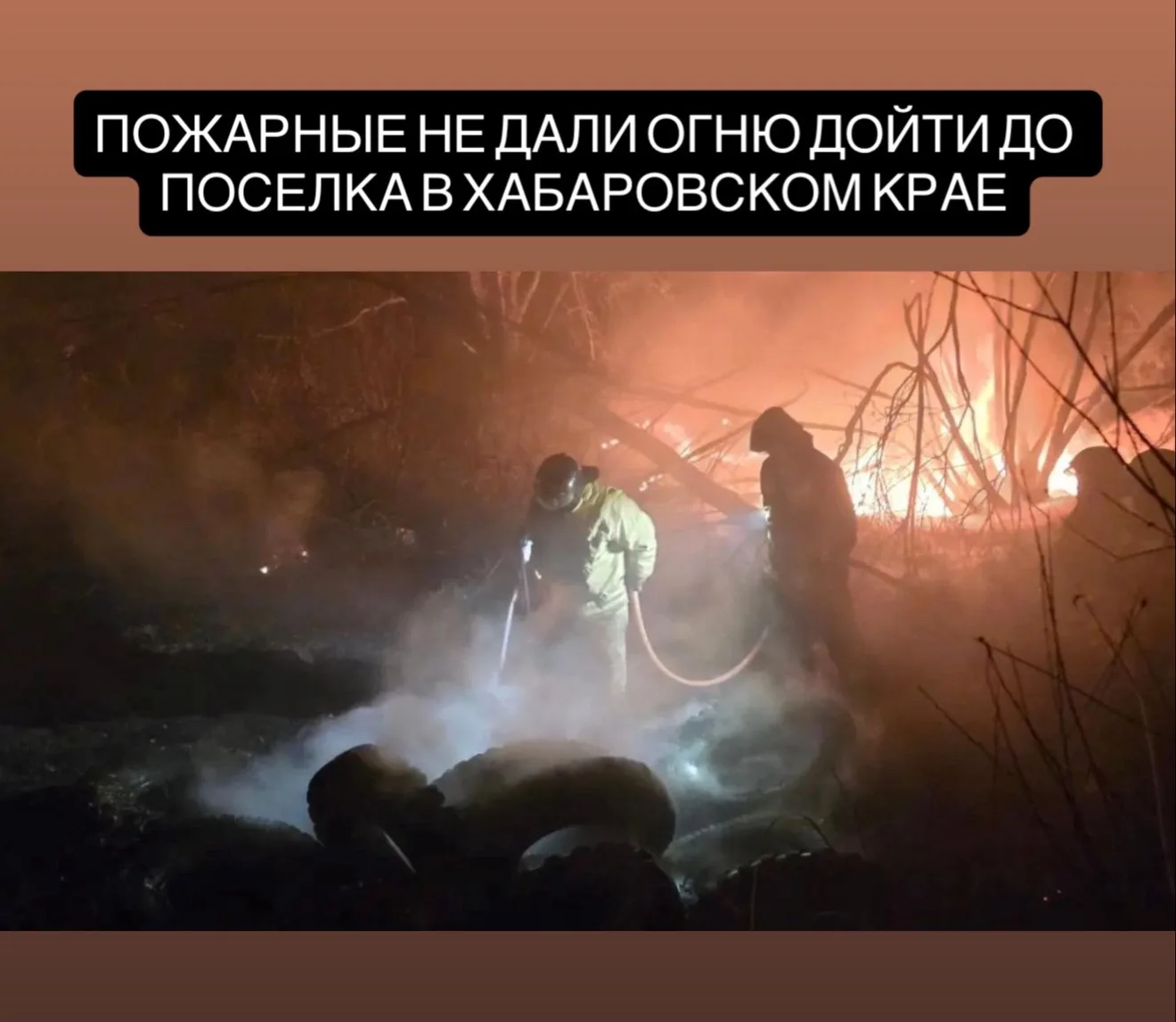 В Хабаровском крае лесной пожар едва не добрался до жилых домов