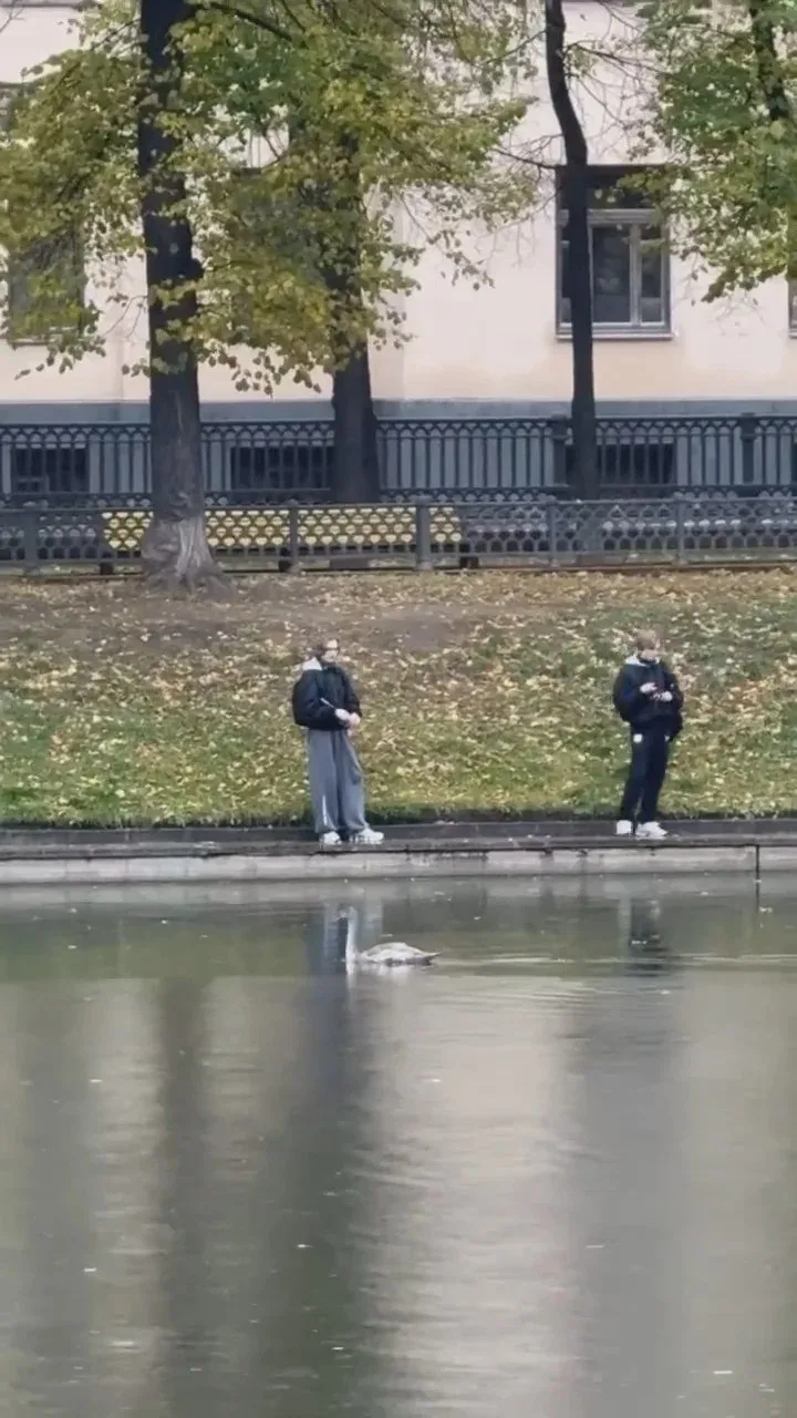 Возможный запрет рыбалки на московских прудах