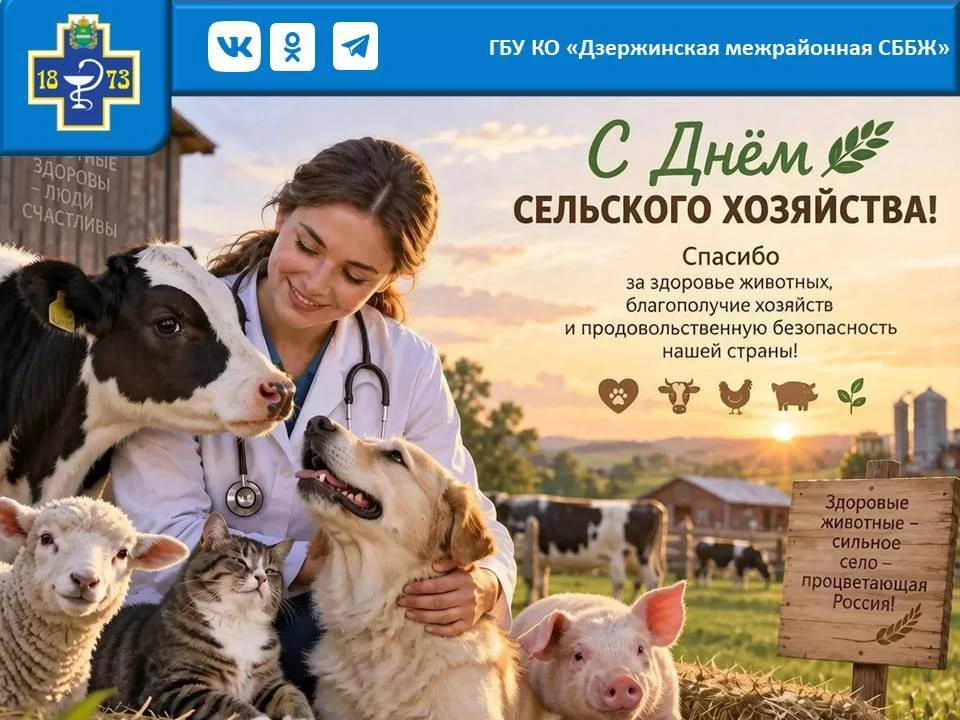 Тем, кто лечит тех, кто не может сказать «где болит» 🐾Сегодня особенный день — День ра...