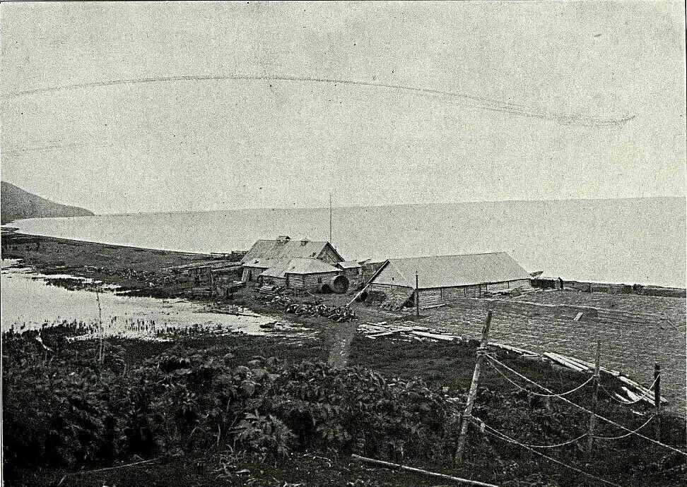 Китоловный промысел. 1899–1901.