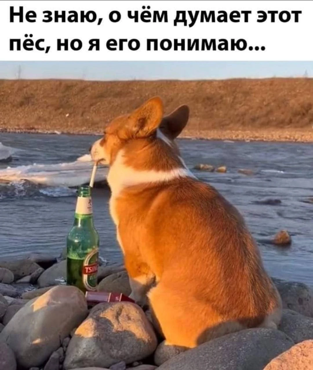 Ветер с Моря Дул