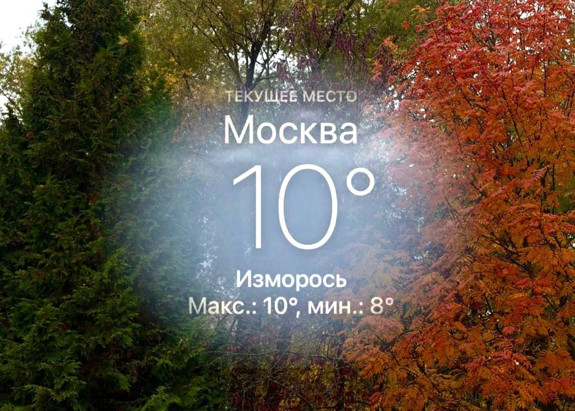 Становится все холоднее... А что согревает сердца мифистов больше всего? Кофе, чай или ...