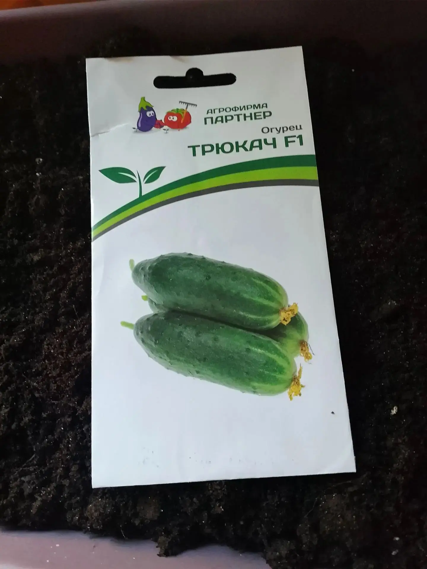 Посадила сегодня огурчики и помидоры🥒🥒🥒🍅🍅🍅