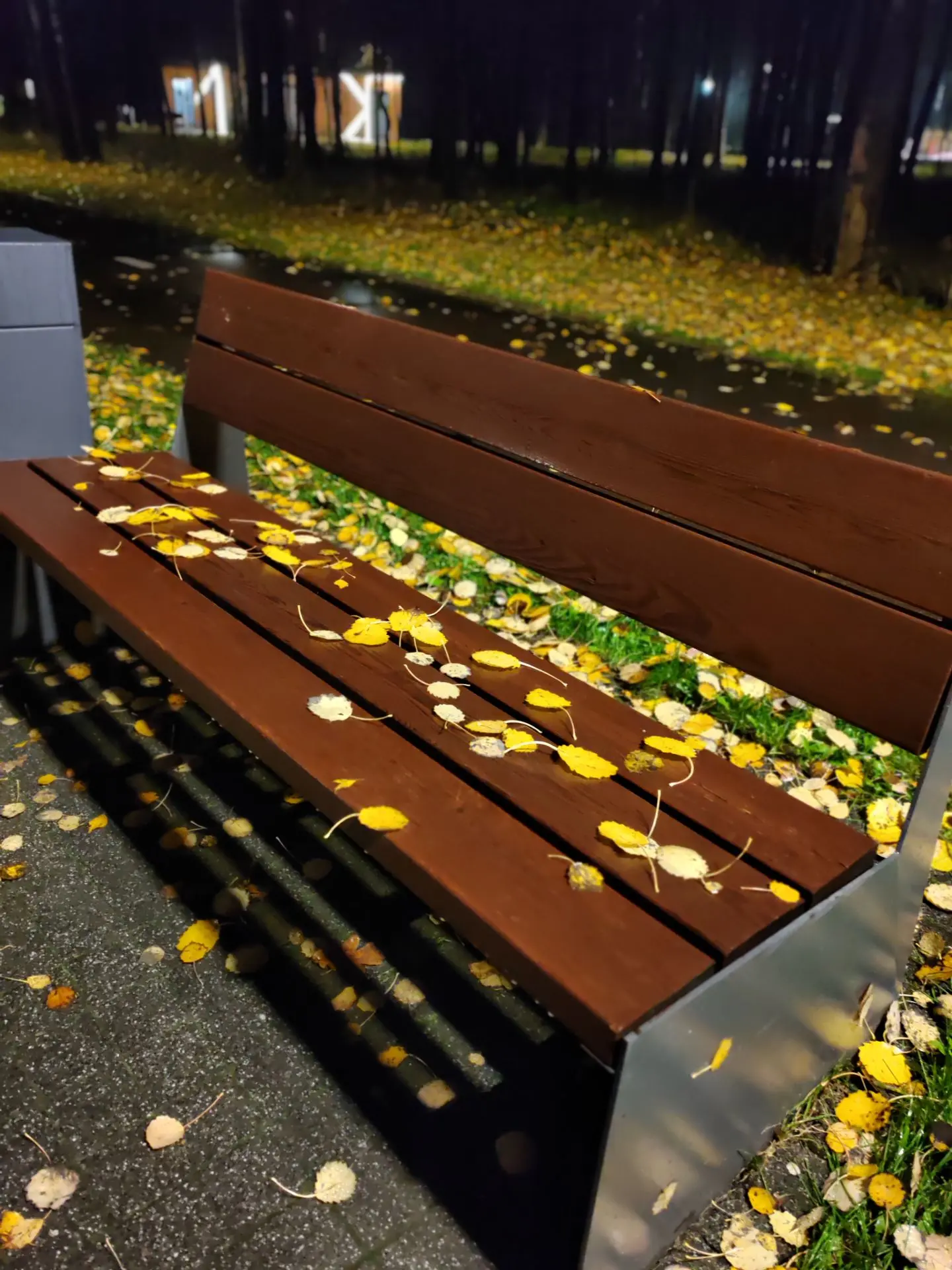 🍂🍂🍂