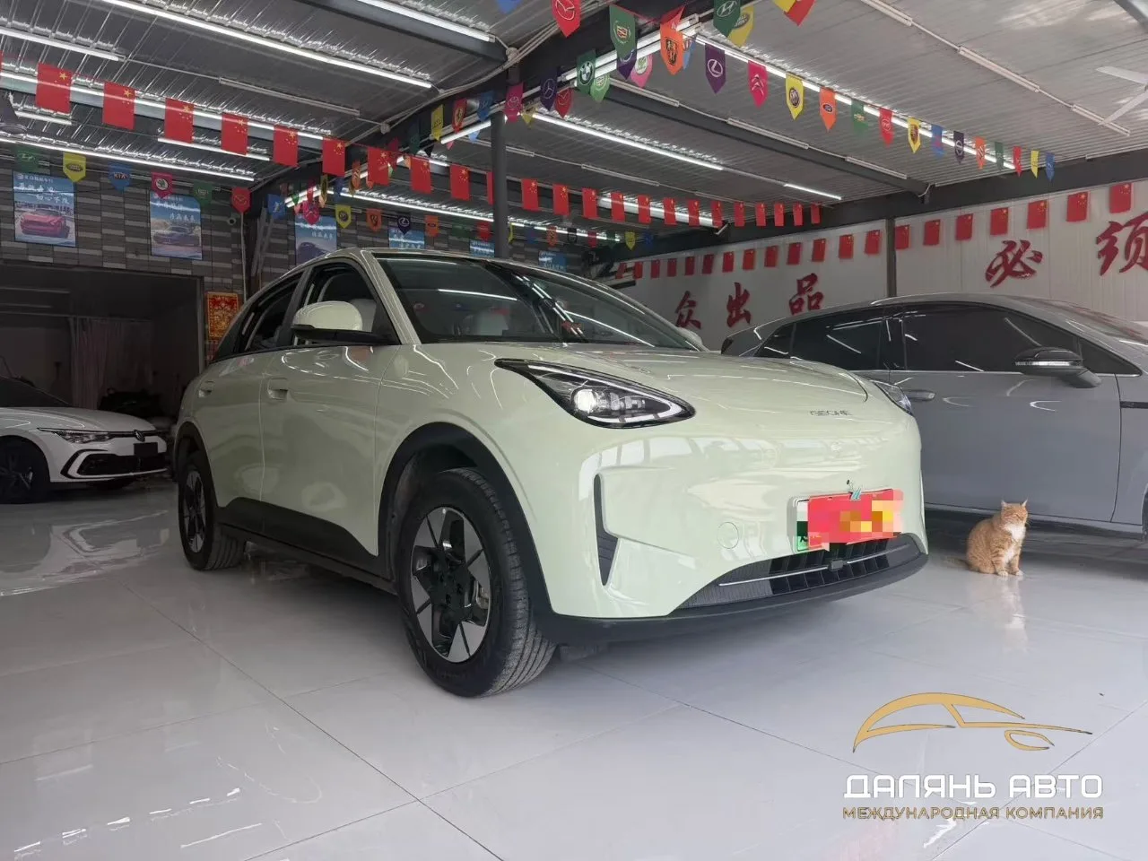 🚗 Geely Geome Xingyuan Freedom