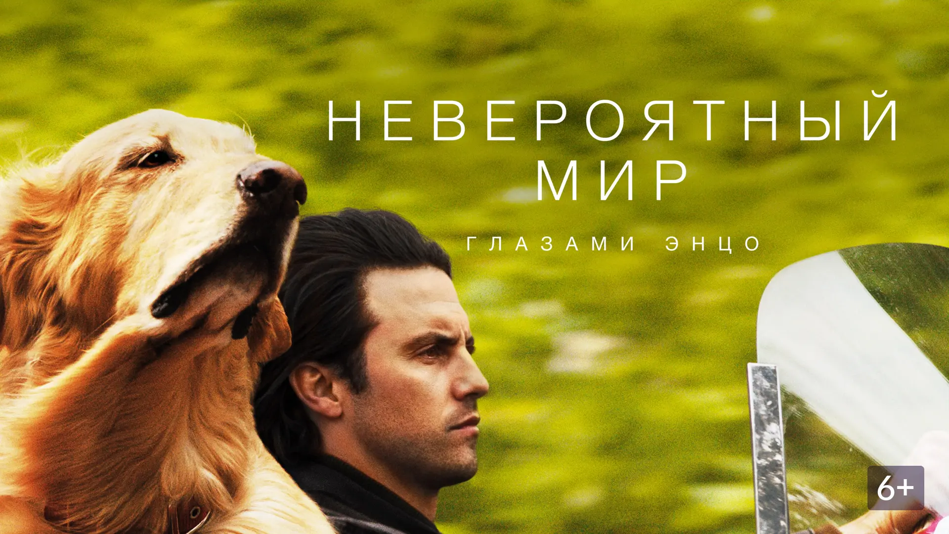 Невероятный мир глазами Энцо