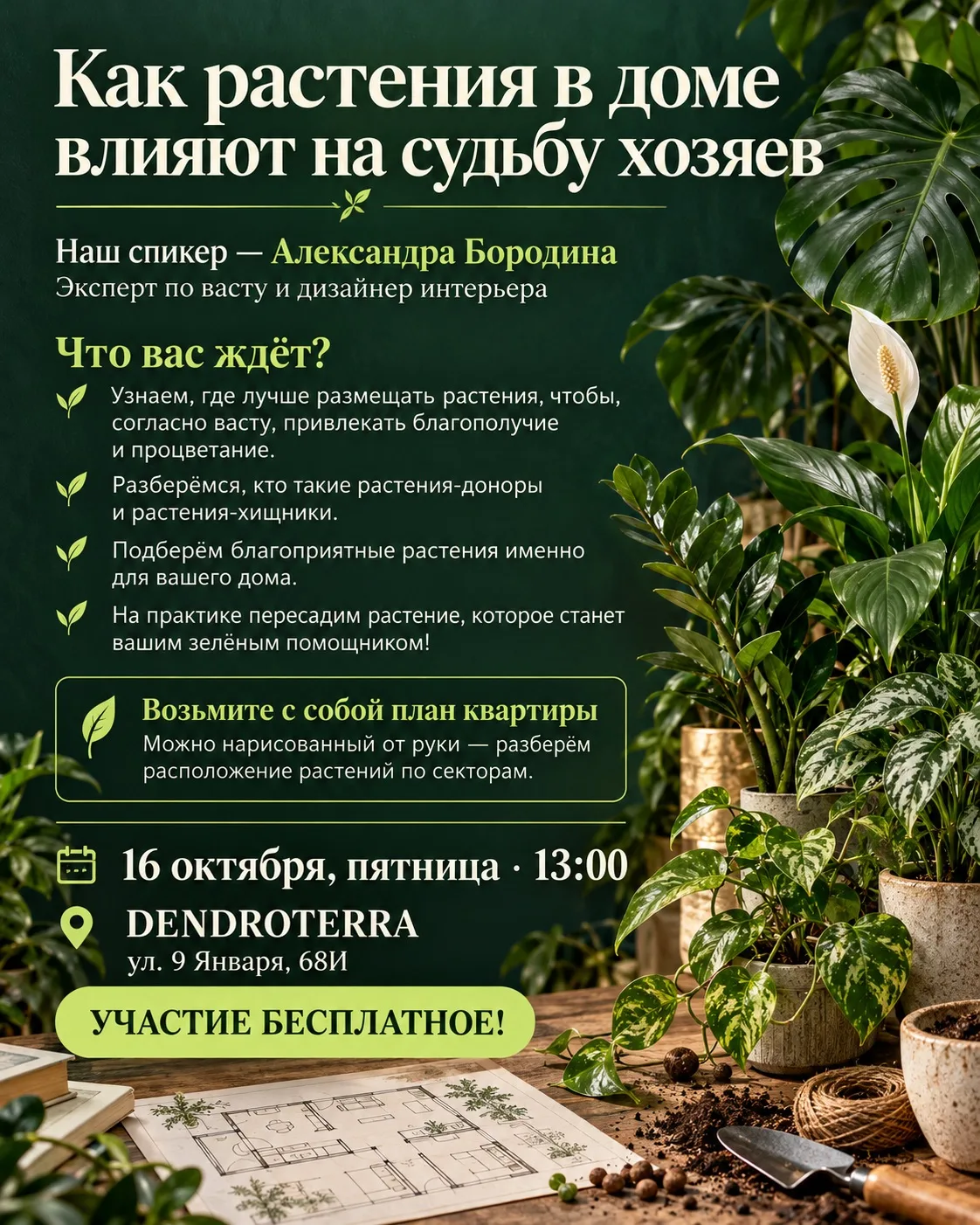 А что, если место для нового растения стоит выбирать ещё до покупки?
