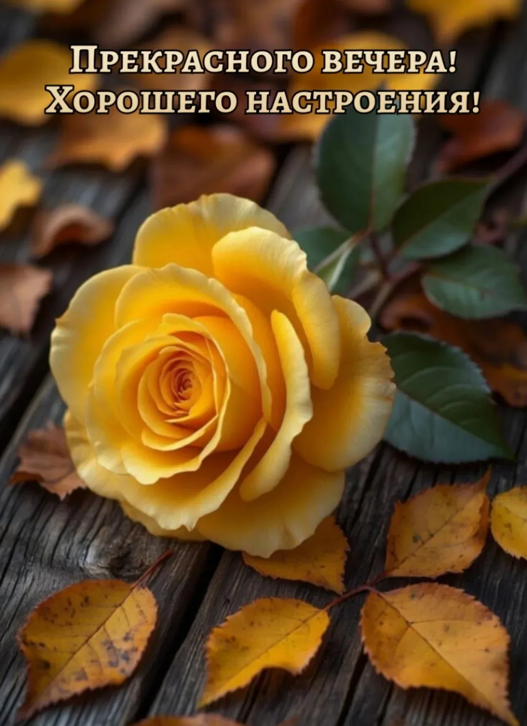 https://max.ru/channel_Sdobrimytrom