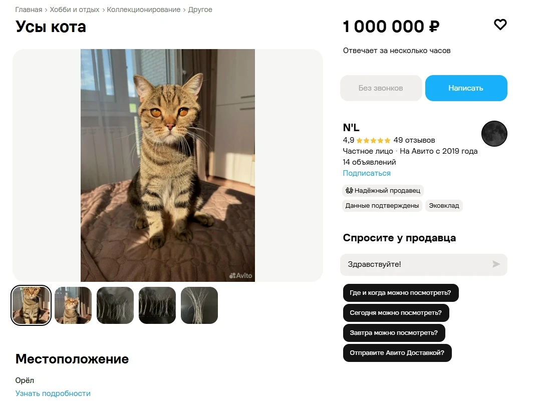 🐈В ОРЛЕ КОШАЧИЙ УС ПРОДАЮТ ЗА 1 МЛН РУБЛЕЙ