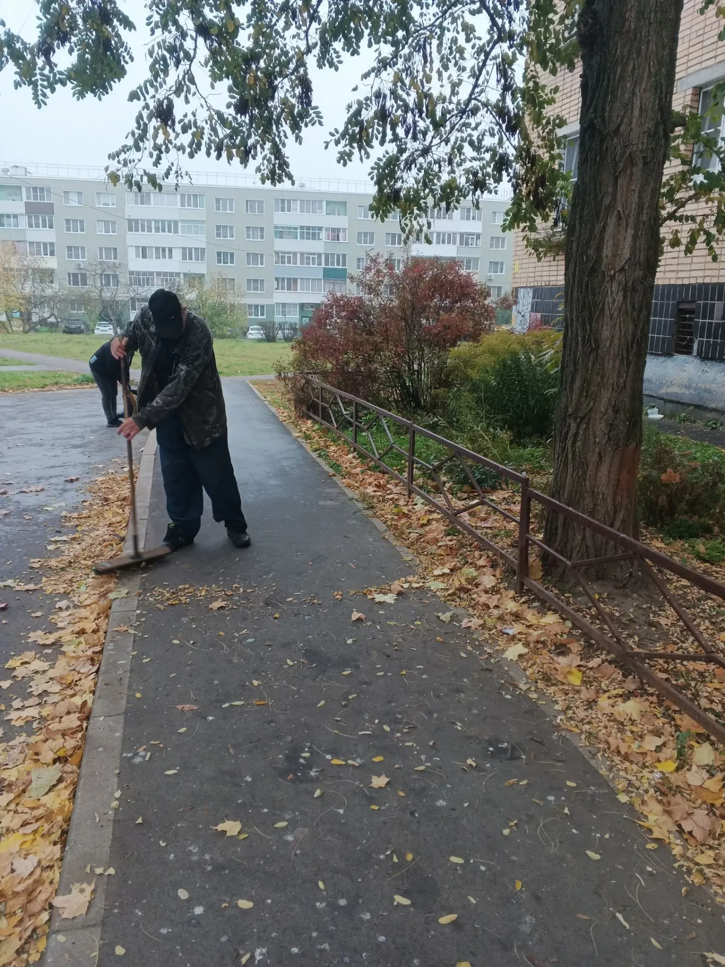 🍂Осенний уборочный цикл: чистота и порядок на придомовых территориях