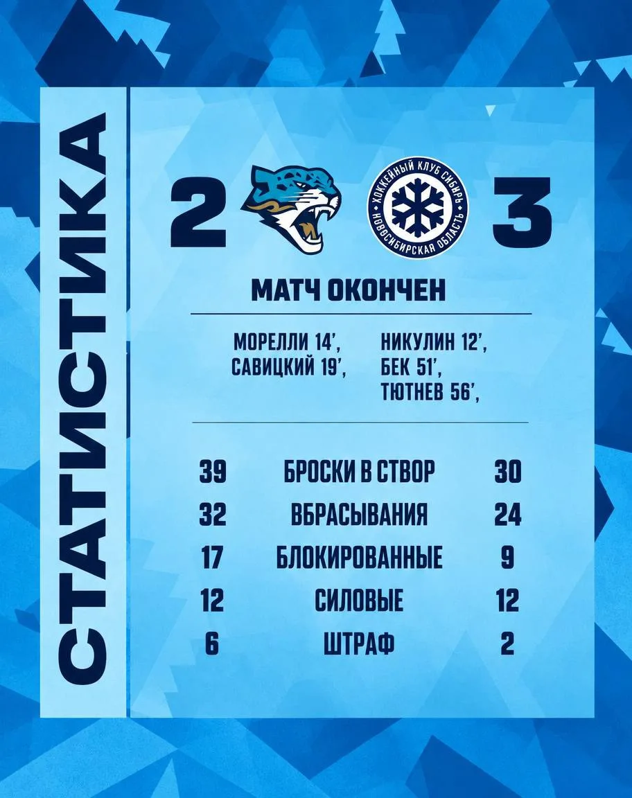 Итоговая статистика игры