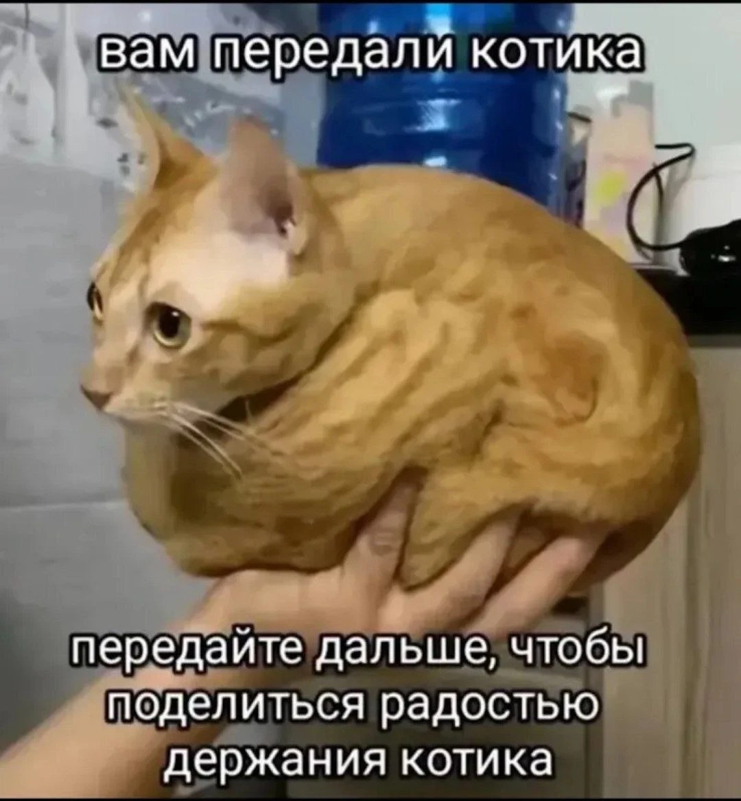 Взяли и передали дальше 😁
