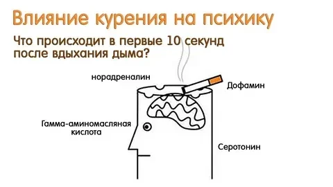 Курение вредит не только лёгким, сердцу и сосудам: не так очевидно, но не менее коварно...