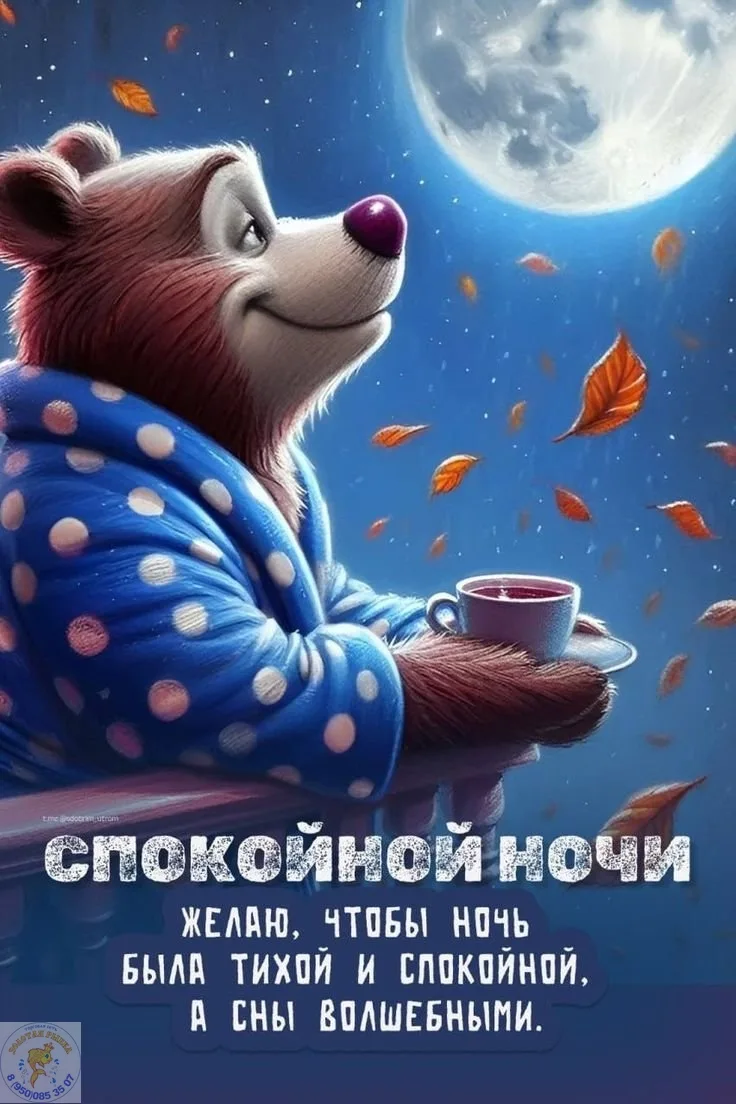 Тихой ночи и сладких снов! 💤
