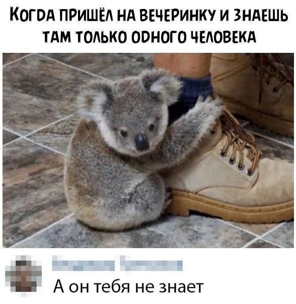 Мемы каждый день • Подписаться