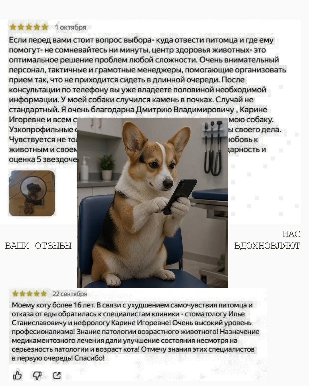 🩵 СПАСИБО, ЧТО ВЫ С НАМИ 🩵